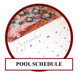 Mary Wayte Swimming Pool Schedule